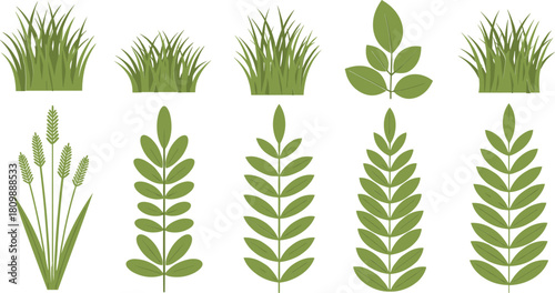 Collection of green grass and leaf illustrations on white background