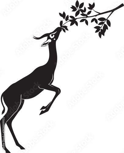 Silhouette of an elegant gazelle reaching up to eat leaves from a tree branch with graceful movement