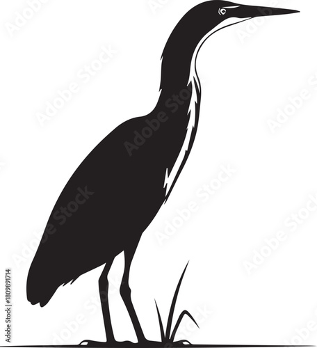 Silhouette of a tall wading bird with a long neck and beak standing in tall grass