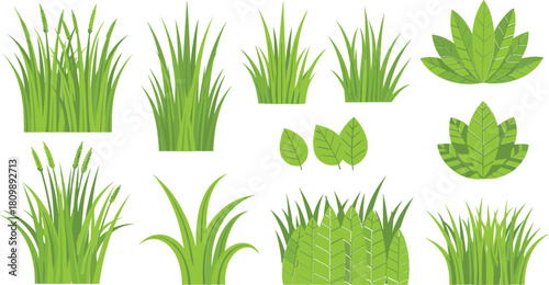 Collection of various green grass and plant illustrations on white background
