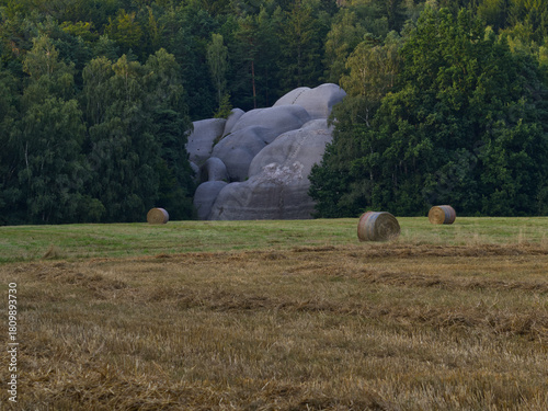 Elephant stones in the Czech Republic between trees and in front of them a mowed field with bales