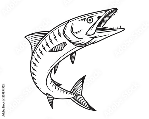 A detailed black and white sketch captures a barracuda with its mouth open and sharp teeth, mid-leap, showcasing its predatory nature