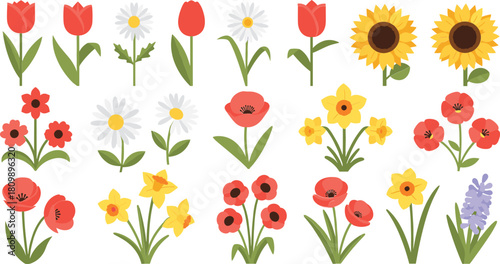 Collection of colorful spring and summer flowers isolated on white background