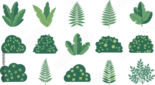 Collection of various green tropical and fern plants isolated on white background