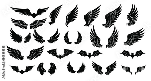 Set of various black wings illustrations on white background