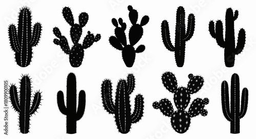 Silhouette Collection of Various Cactus Plants in Black and White.
