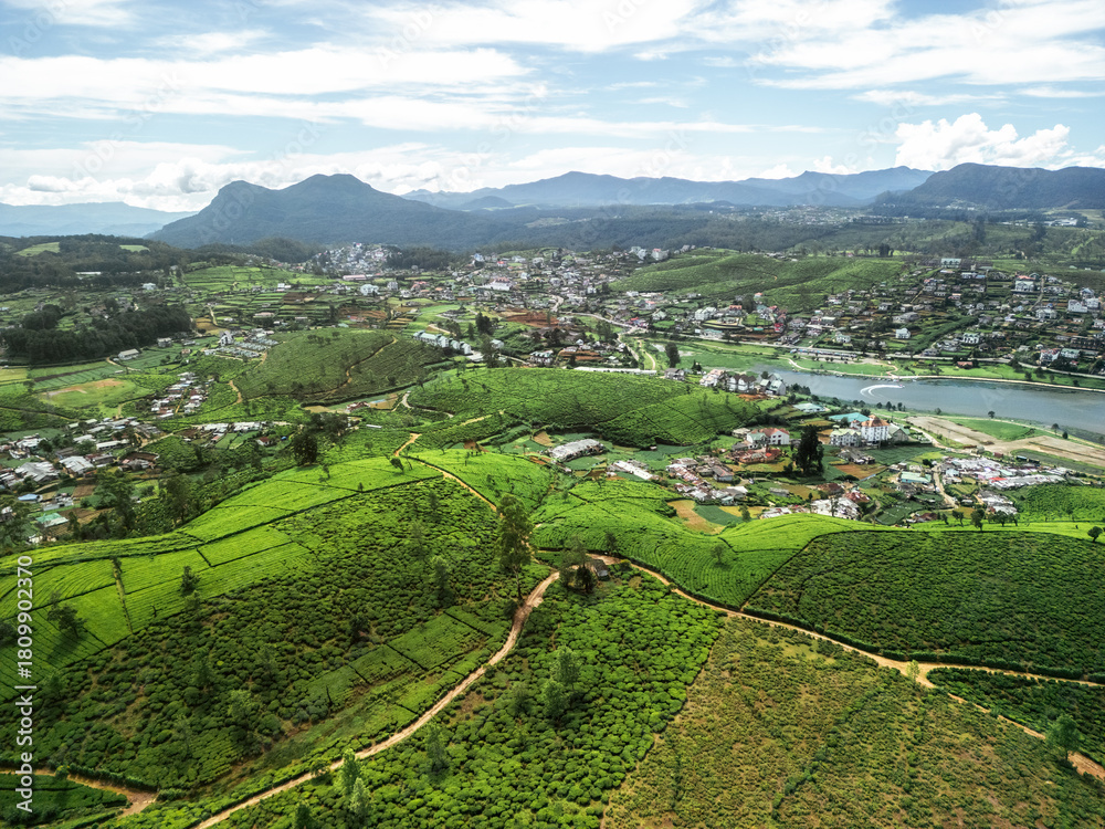 Fototapeta premium Panoramic Drone View of Nuwara Eliya City, Tea Fields, and Gregory Lake