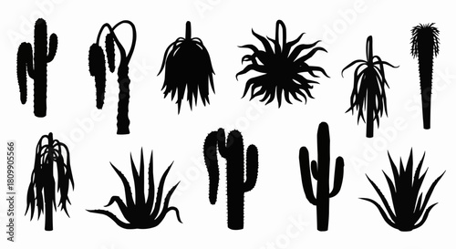 Collection of Diverse Cactus and Succulent Silhouettes for Design.