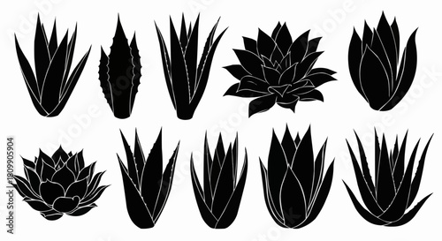 Collection of black isolated agave and succulent plant silhouettes.