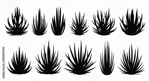 Collection of Black Silhouette Grass Clumps and Plants.