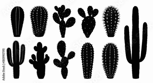 Various black cactus silhouettes in a desert landscape.