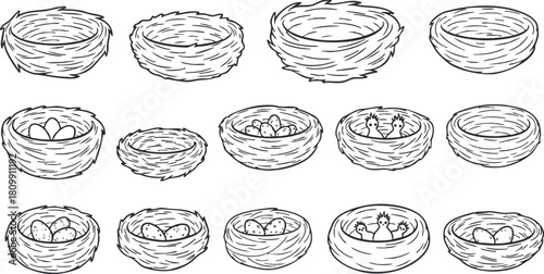 Hand-drawn black and white vector illustration set of various bird nests with eggs, perfect for nature-themed designs and projects