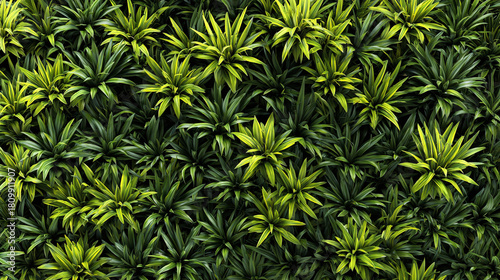A vibrant display of lush green and yellow plants, creating a stunning natural pattern and texture. The image showcases the beauty of the plants