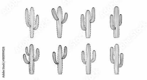 Detailed illustration of various cactus plants in a monochrome style.
