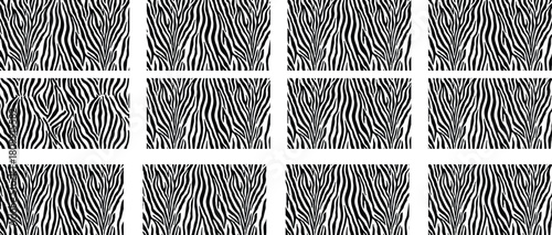 Black and White Zebra Stripe Pattern Background Keywords: zebra, stripes, pattern, animal print