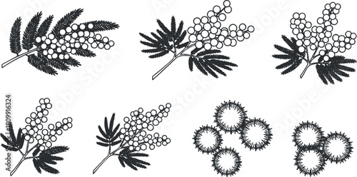 Elegant black and white vector illustration set of various botanical branches and foliage for design projects