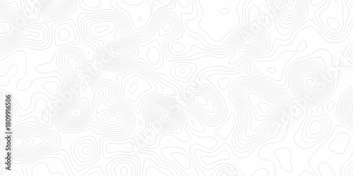 White wave paper curved reliefs abstract background, Abstract topographic contours map background. digital topographic contour map concept space geometric strip grid line. Natural discovery of maps.