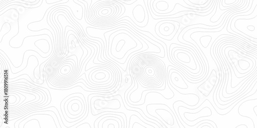 White wave paper curved reliefs abstract background, Abstract topographic contours map background. digital topographic contour map concept space geometric strip grid line. Natural discovery of maps.