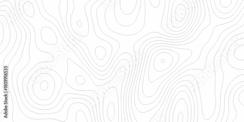 White wave paper curved reliefs abstract background, Abstract topographic contours map background. digital topographic contour map concept space geometric strip grid line. Natural discovery of maps.