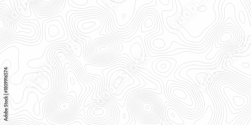 White wave paper curved reliefs abstract background, Abstract topographic contours map background. digital topographic contour map concept space geometric strip grid line. Natural discovery of maps.