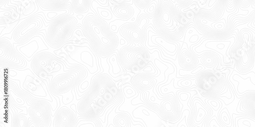 White wave paper curved reliefs abstract background, Abstract topographic contours map background. digital topographic contour map concept space geometric strip grid line. Natural discovery of maps.
