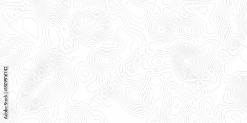 White wave paper curved reliefs abstract background, Abstract topographic contours map background. digital topographic contour map concept space geometric strip grid line. Natural discovery of maps.