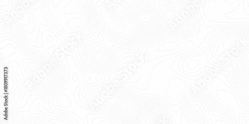 White wave paper curved reliefs abstract background, Abstract topographic contours map background. digital topographic contour map concept space geometric strip grid line. Natural discovery of maps.