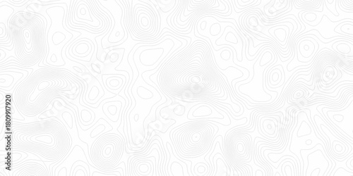 White wave paper curved reliefs abstract background, Abstract topographic contours map background. digital topographic contour map concept space geometric strip grid line. Natural discovery of maps.
