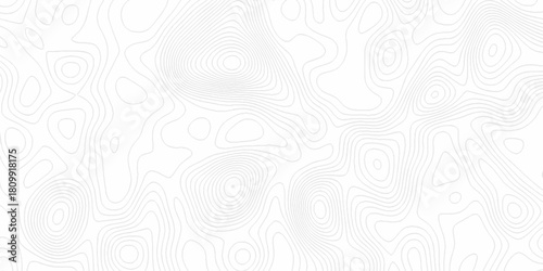White wave paper curved reliefs abstract background, Abstract topographic contours map background. digital topographic contour map concept space geometric strip grid line. Natural discovery of maps.