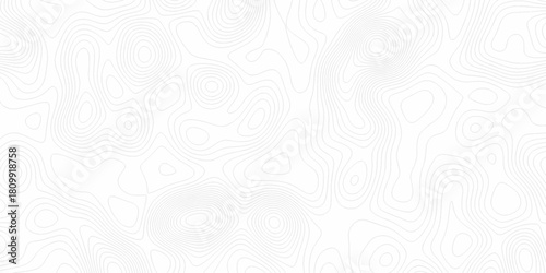 White wave paper curved reliefs abstract background, Abstract topographic contours map background. digital topographic contour map concept space geometric strip grid line. Natural discovery of maps.