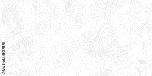 White wave paper curved reliefs abstract background, Abstract topographic contours map background. digital topographic contour map concept space geometric strip grid line. Natural discovery of maps.