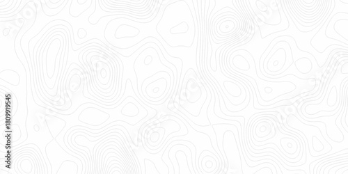 White wave paper curved reliefs abstract background, Abstract topographic contours map background. digital topographic contour map concept space geometric strip grid line. Natural discovery of maps.
