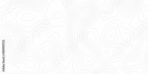 White wave paper curved reliefs abstract background, Abstract topographic contours map background. digital topographic contour map concept space geometric strip grid line. Natural discovery of maps.