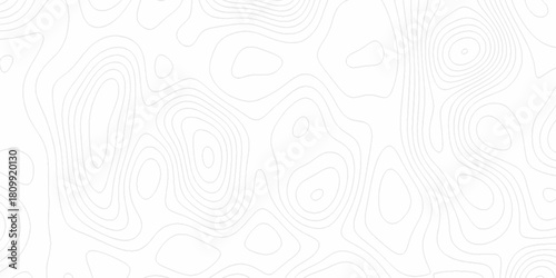 White wave paper curved reliefs abstract background, Abstract topographic contours map background. digital topographic contour map concept space geometric strip grid line. Natural discovery of maps.