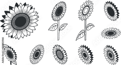 Set of black and white vector illustrations featuring stylized sunflowers for floral design and decorative projects
