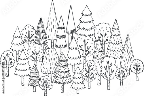Hand-drawn black and white vector illustration of a diverse forest scene featuring various trees and plants for nature-themed design projects