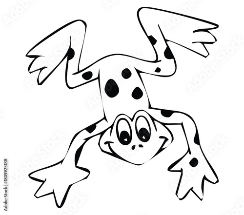 Cartoon frog with black spots hanging upside down with a happy expression and outlined in black ink