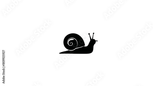 Minimalist black snail silhouette icon on white background, slow animal symbol vector illustration