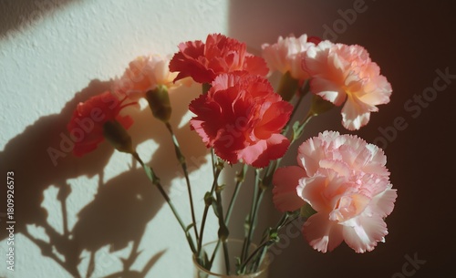 Beautiful Bouquet of Colorful Carnations in Soft Morning Light by a Wall