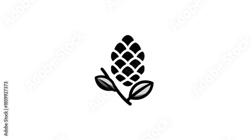 Minimalist black and white pine cone icon illustration with leaves, symbolizing nature, evergreen forests, and winter season.