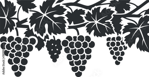 Stylized black silhouette vector illustration of grapevines with leaves and clusters of grapes, ideal for wine branding and organic design projects