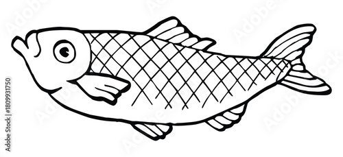 Illustration of a fish with detailed scales and fins in black and white outline style drawing art