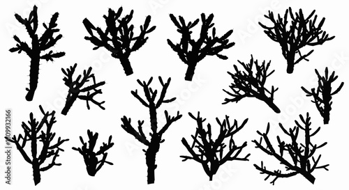 Collection of black silhouettes of bare tree branches and bushes.