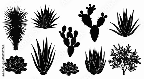 Collection of Diverse Desert Cacti and Succulent Silhouettes.