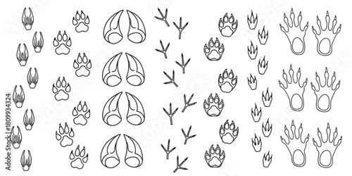 Animal track pattern, assorted wildlife footprints in a black and white illustration