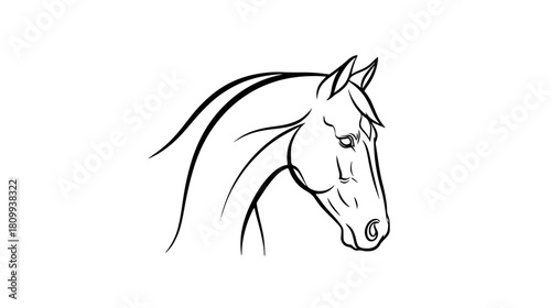 Elegant horse head line art drawing for tattoos, logos, apparel designs, and branding projects needing a sleek, modern equine symbol