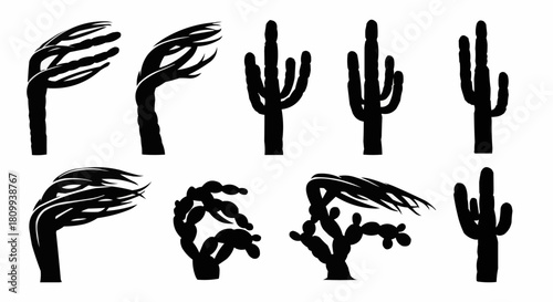Set of Silhouette Illustrations of Desert Plants and Trees in Wind.