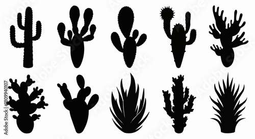 Collection of various cactus plant silhouettes in black and white.