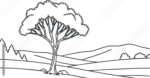 Outline vector illustration of a solitary tree in a scenic landscape, suitable for nature-themed projects and designs