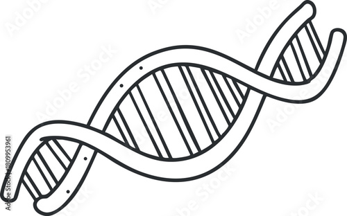 Outline vector illustration of a DNA double helix, ideal for educational and scientific design projects.